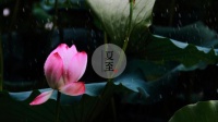 夏至已至,选对中央空调避暑养生两不误