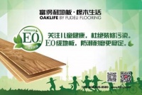 富得利E0级地板问世,打造地板界环保标杆!