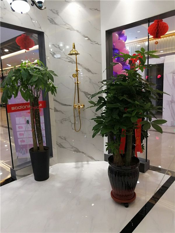 尚典卫浴首家自营店在郑州北龙湖居然之家盛大开业