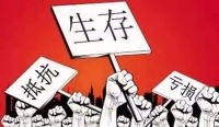 8月22日,2019年云南建博会定制家居馆大有看头