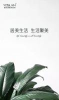 【YASLAN】墙布清洁这些小知识你都知道吗