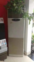 中国龙,用科龙: 36年只做专业品质空调