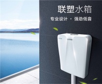 如厕冲水“新体验”,都在这个水箱里了
