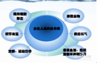 乐米斯特，专业水处理设备服务商
