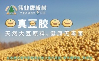 伟业牌大豆胶板材：大豆胶知多少？