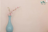 兰舍硅藻泥新品发布 一面好看的墙就够了
