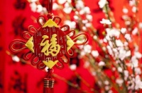 新春到,祝福来,定制女神大赛十强选手向大家拜年啦!