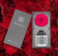 Roca x roseonly,用恒温的爱情演绎云端浪漫