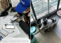 武汉自如管家送菜上门解燃眉之急 用户:很温暖