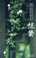 【YASLAN】春雷乍动，万物生长，送你一抹惊蛰绿