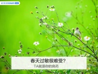 春天过敏很难受?如何解决呢?