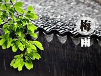 莱克智能除湿机打造干爽环境,让家居生活舒适无湿更健康