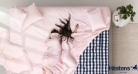 夏夜不负好眠,清凉床品构筑恬睡美梦