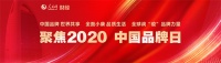 每一个肯定都是新起点 庆祝巧燕筑家再获殊荣
