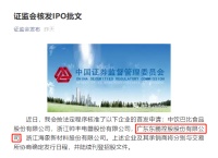 东鹏二次上市成功?IPO首发申请通过