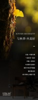 【雅诗澜】与秋季·共美好
