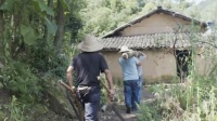 从大别山里走出的家,《梦想改造家》实现花海上空的腾飞梦