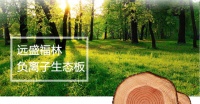 远盛福临负离子生态板,家里的“天然空气净化器”
