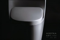 卫浴发展前景不容小窥,科迪卡KODTKA智能卫浴带你洞见未来