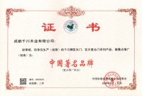 “品牌卓越,品质卓著,市场卓然”|千川木门再次荣获“中国著名品牌”
