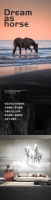 【YASLAN】策马奔腾 纵享恣意潇洒人生