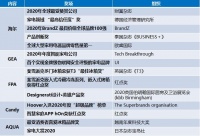 真正的全球化品牌,就不会缺席世界认可