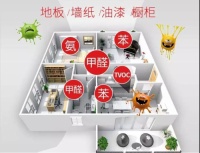 绿驰除甲醛 | 现在入局室内空气治理市场,晚了吗?