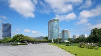 三棵树前景被广泛看好,盘中市值首次突破500亿