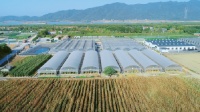 中国联塑多元蓄力赋能农业振兴,夯实“一号文件”落地基础