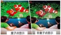 2021年如何选购电视?牢记这几个要点参数,保证不出错
