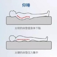 如何挑选合适的床垫?东宝床垫有妙招