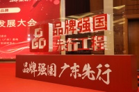 多项荣誉加身!三雄极光撑起国货担当