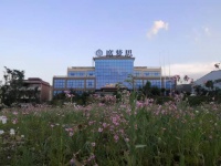 走访席梦思中国工厂:解密“弹簧床垫”