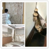 天气开启“焖蒸”模式,克洛斯威壁材拯救我的睡眠!