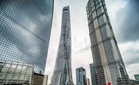 Distrii办伴品牌升级!堂堂办公助力开启敏捷办公新征程