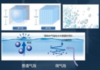 为何说洗护行业可以发挥蓝氧消毒杀菌的潜力?因为所有条件都已具备