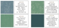 汇明A+墙布2021《雅·江南》重装推出,梦回烟雨水乡