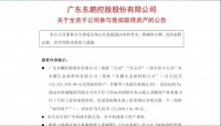 陶卫快讯 | 东鹏控股1.1亿元竞得清远一陶瓷产业基地资产