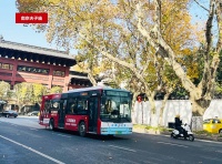 逐梦冠军,“红动”南京丨大王椰牵手国羽领跑营销新赛道