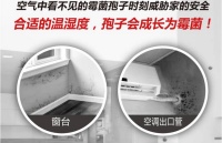 怎么选腻子?