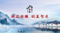 品牌建设推动制造业“能级之变”,助力企业创建“专精特新”