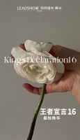 【领绣·菁华】曼枝殊华丨以“纯”回馈生活，以“净”顺应未来