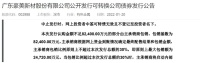 定制快讯|豪美新材拟发行8.24亿元可转债