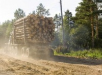 巴拉圭2021年木材出口额大幅反弹，强势增长50%