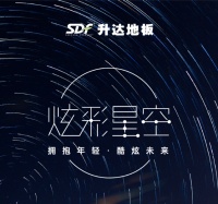优雅永不过时 市场主流地板测评