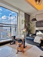 梵品升级椭圆机，拆解家庭健身新势力