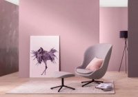 德爱威乳胶漆：彩绘品质家居 探寻生活之美