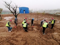 徐州轨道SGTJ6111项目携手徐州地铁开展植树活动