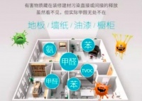 尝试过这几招除甲醛后，你会后悔没有早点知道！