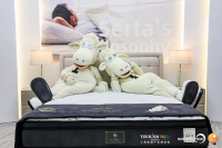 想要高质量睡眠？不妨关注舒达“惊折第七季”双总裁感恩直播夜